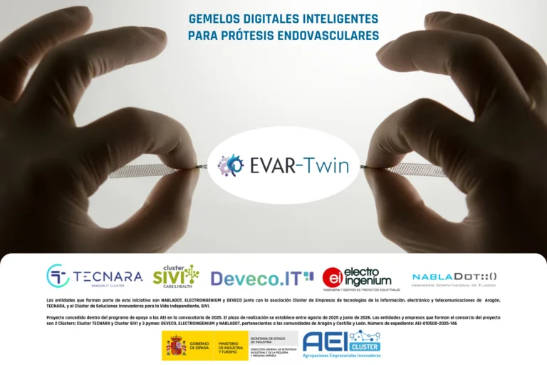 Presentación abierta de los resultados del proyecto EVAR-Twin