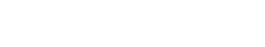 Logotipo de EVAR-Twin